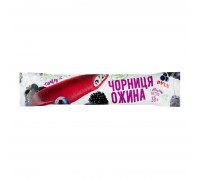Морозиво Чорниця- Ожина  85 г. РУДЬ
