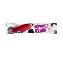 Морозиво Чорниця- Ожина  85 г. РУДЬ