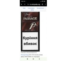 Passage Classic Slims 20шт.