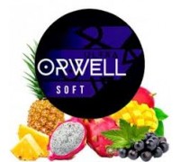 ORWELL SOFT Wednesday (Венсдэй)100 гр