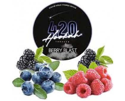 420 CLASSIC LINE Berry Blast (Берри Бласт) 100 гр.